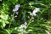 20240504145822-DSCN6437.JPG