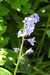 20240504145830-DSCN6438.JPG