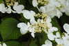 20240504145951-DSCN6442.JPG