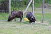 20240504150203-DSCN6445.JPG
