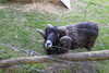 20240504150930-DSCN6450.JPG