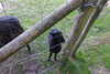 20240504150932-DSCN6451.JPG