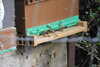20240504151015-DSCN6452.JPG