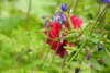 20240504152053-DSCN6458.JPG