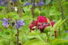 20240504152120-DSCN6462.JPG