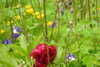 20240504152126-DSCN6463.JPG