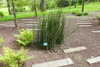 20240504152339-DSCN6469.JPG