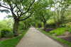 20240504152758-DSCN6473.JPG