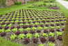 20240504152906-DSCN6475.JPG