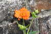 20240504153038-DSCN6478.JPG