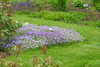 20240504153257-DSCN6481.JPG