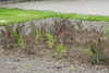 20240504153321-DSCN6482.JPG
