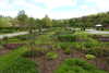 20240504153527-DSCN6486.JPG