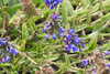 20240504153639-DSCN6490.JPG