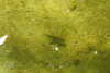 20240504154549-DSCN6497.JPG