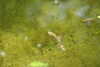 20240504154732-DSCN6498.JPG
