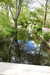 20240504154910-DSCN6500.JPG