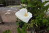 20240504155208-DSCN6502.JPG