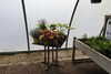 20240504155219-DSCN6503.JPG