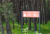 20240505120548-DSCN6521.JPG
