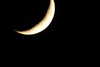 20240511225016-DSCN6536.JPG