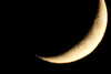 20240511225037-DSCN6537.JPG