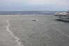 20240531212812-DSCN6580.JPG