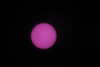 20240601165150-DSCN6624.JPG
