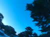 20240602221943-G0028819.JPG