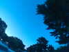 20240602221959-G0028823.JPG