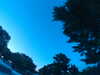 20240602222015-G0028827.JPG