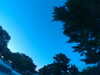 20240602222019-G0028828.JPG