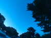 20240602222241-G0028863.JPG