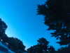 20240602222430-G0028890.JPG