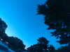 20240602222454-G0028896.JPG