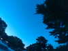 20240602222510-G0028900.JPG
