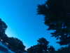 20240602222619-G0028917.JPG