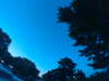 20240602222659-G0028927.JPG