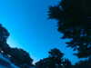 20240602222751-G0028940.JPG