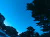 20240602222811-G0028945.JPG