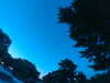 20240602222824-G0028948.JPG