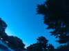 20240602222848-G0028954.JPG