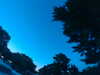 20240602222924-G0028963.JPG