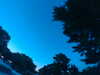 20240602222928-G0028964.JPG