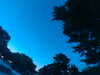 20240602223059-G0028986.JPG
