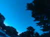 20240602223148-G0028998.JPG