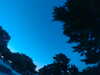 20240602223323-G0029021.JPG