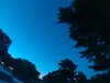 20240602224211-G0029143.JPG