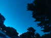 20240602224220-G0029145.JPG