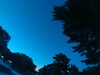 20240602224445-G0029175.JPG